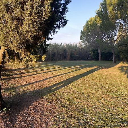 Mas La Pauline Gites De Charme & Roulotte Saint-Rémy-de-Provence Exteriér fotografie