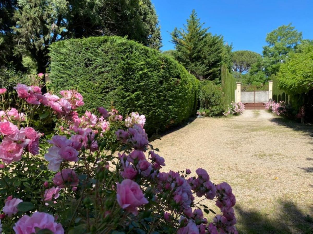 Mas La Pauline Gites De Charme & Roulotte Saint-Rémy-de-Provence Exteriér fotografie