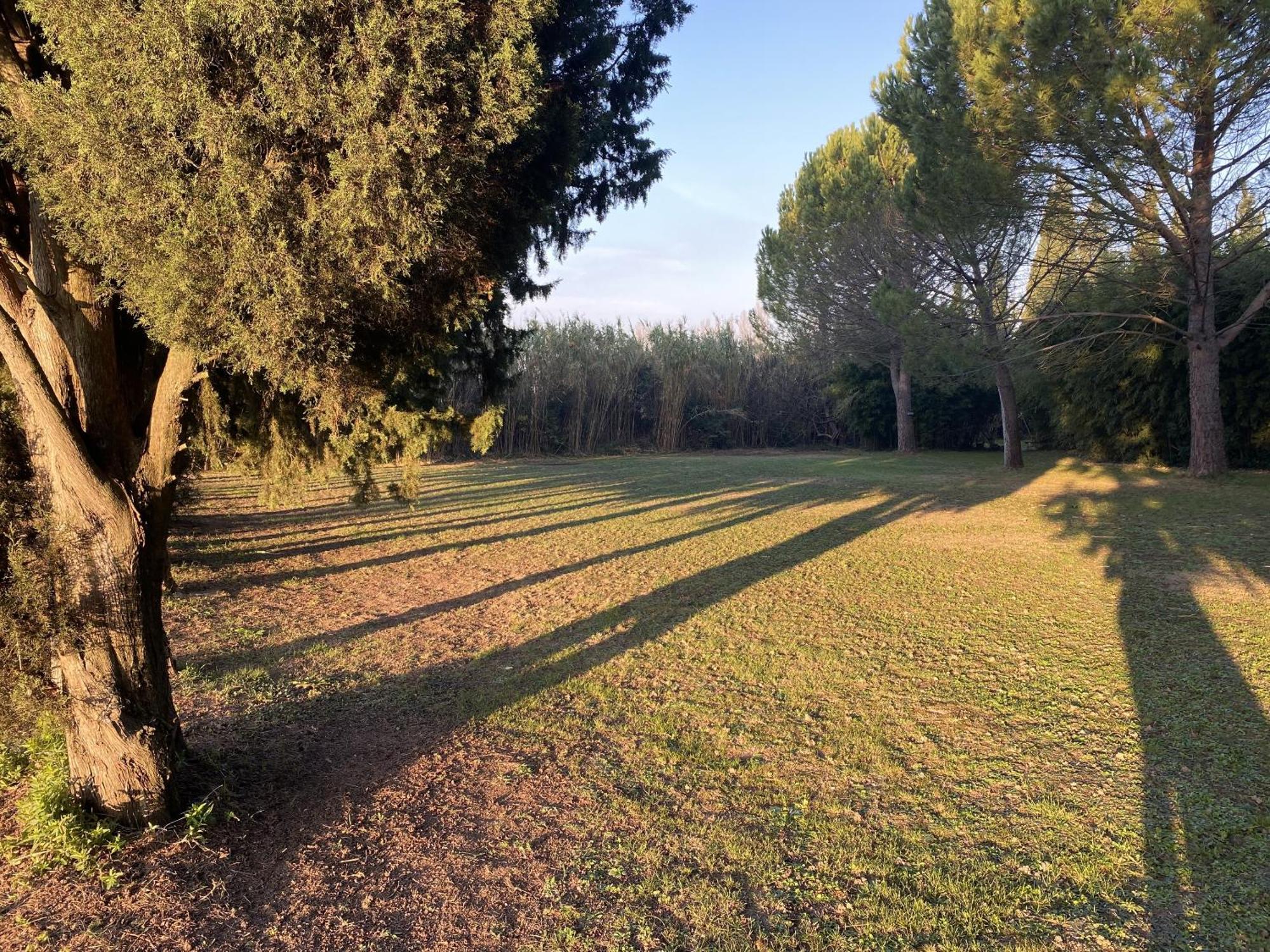Mas La Pauline Gites De Charme & Roulotte Saint-Rémy-de-Provence Exteriér fotografie