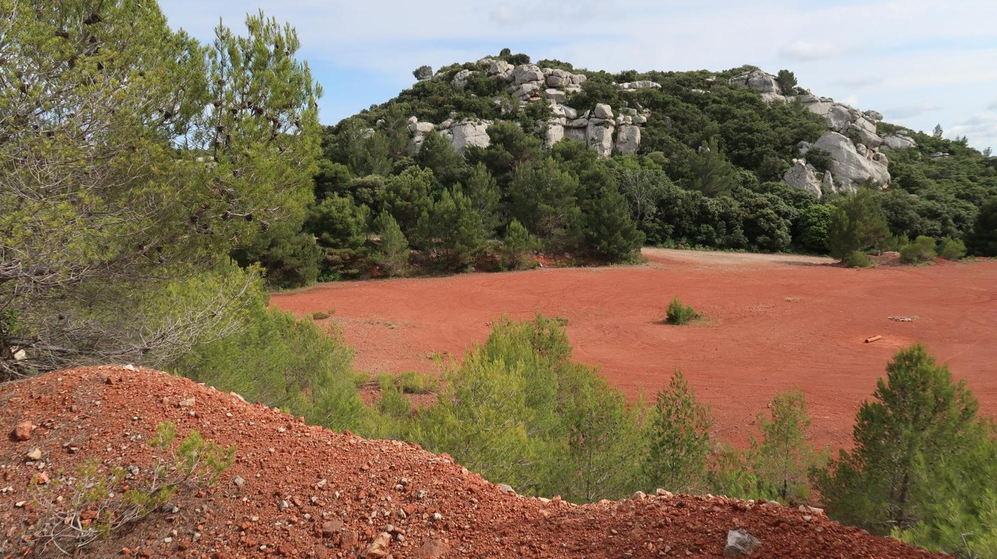 Mas La Pauline Gites De Charme & Roulotte Saint-Rémy-de-Provence Exteriér fotografie