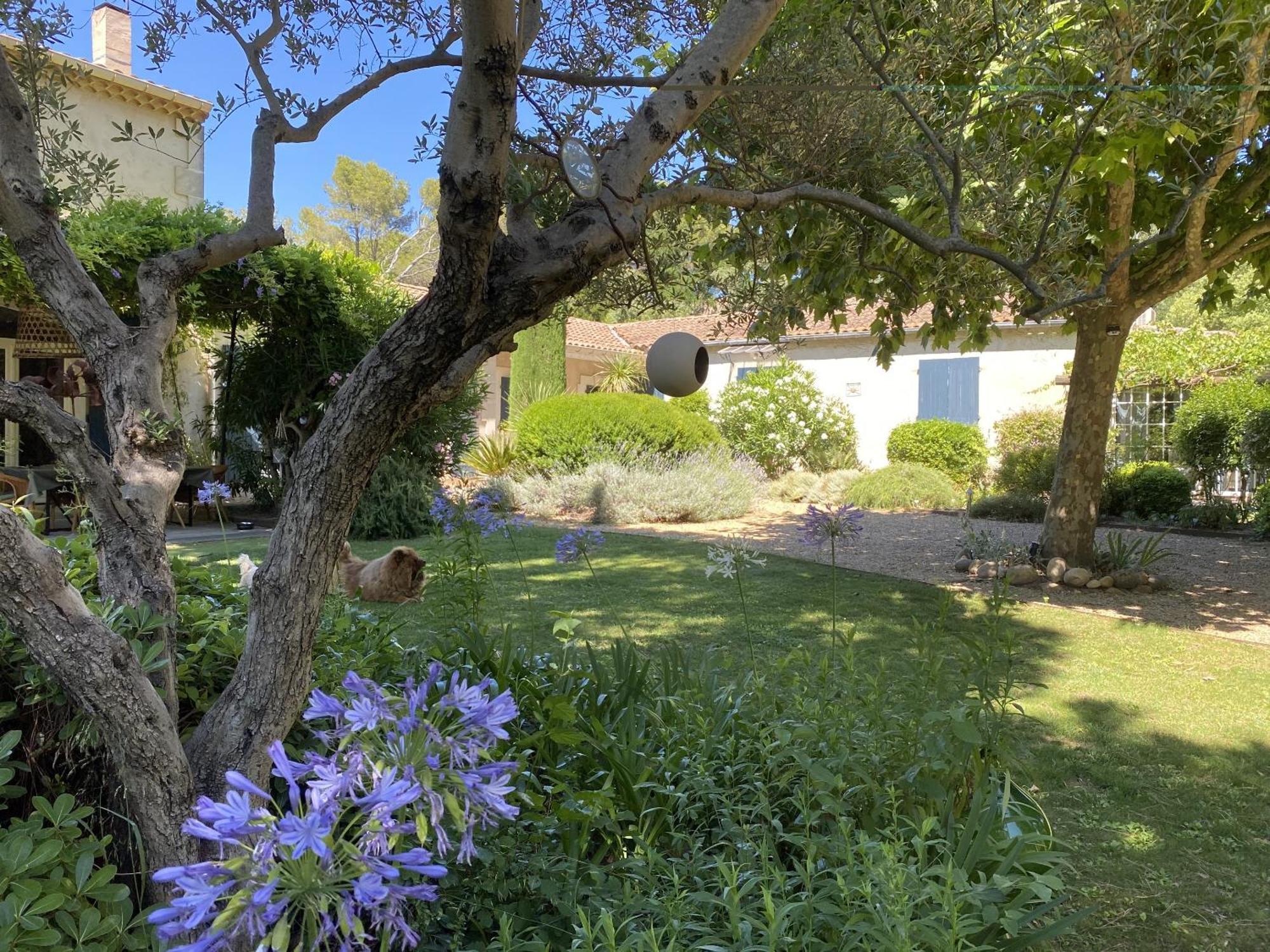 Mas La Pauline Gites De Charme & Roulotte Saint-Rémy-de-Provence Exteriér fotografie