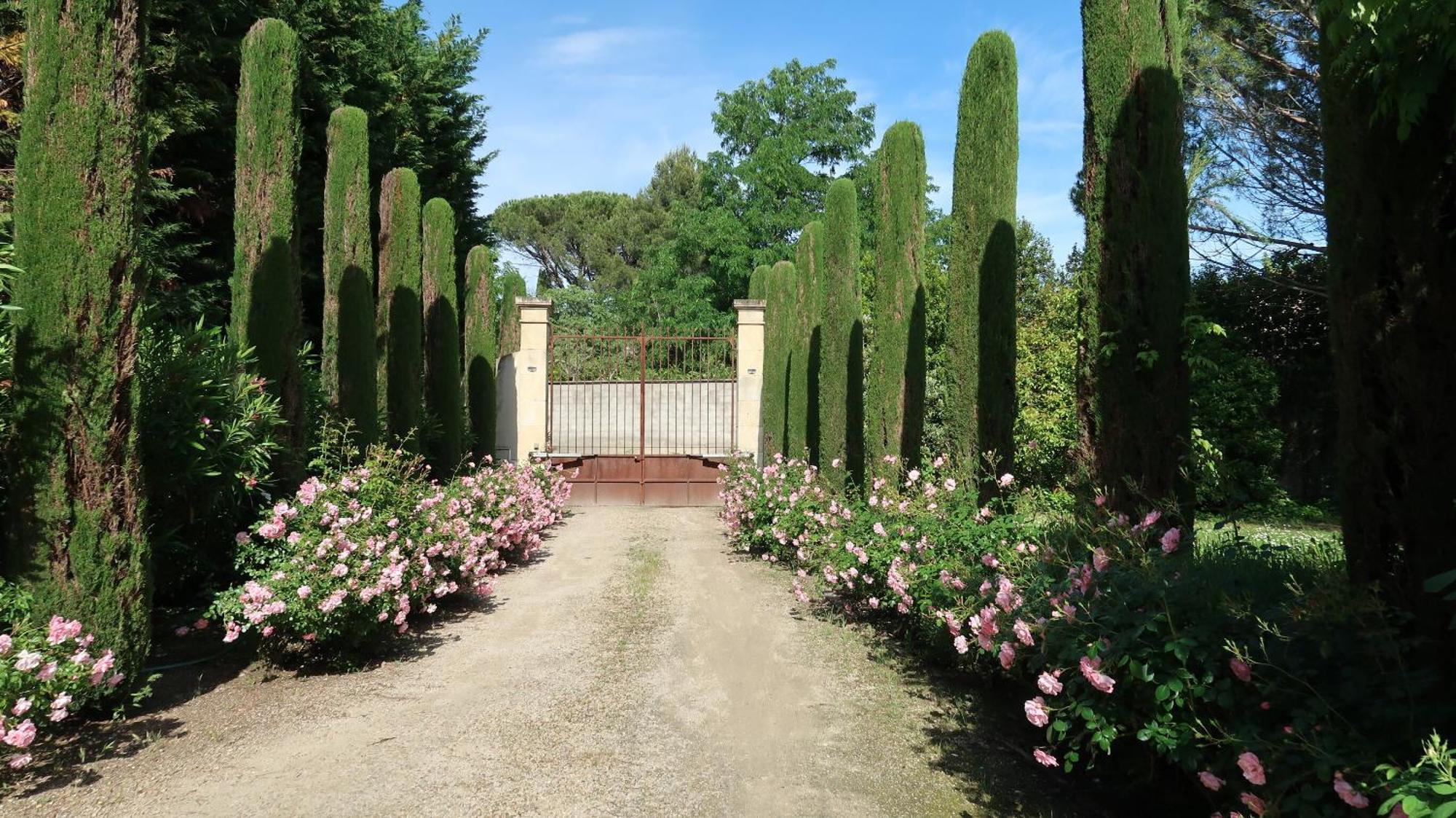 Mas La Pauline Gites De Charme & Roulotte Saint-Rémy-de-Provence Exteriér fotografie